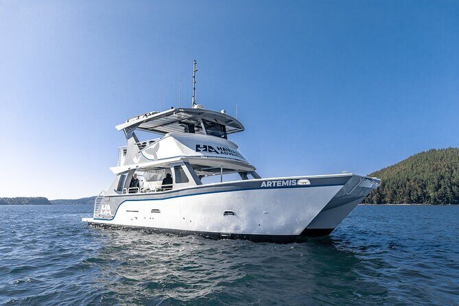 Guaranteed Dolphin and Whale Watch Tour in Kona - Itinerary Breakdown: The Day on the Water
