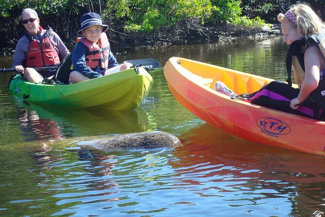 Guided Kayak Eco Tour - Bunche Beach - Why This Tour Is a Great Value