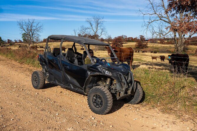 Guided Ozarks Off-Road Adventure Tour - Who Will Love This Tour?