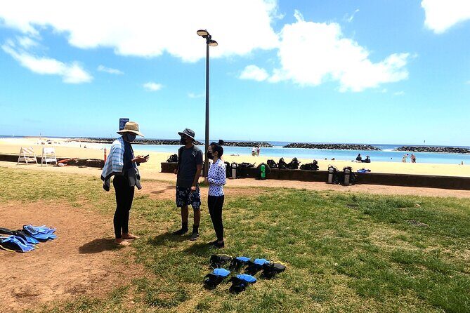 Guided Snorkel Tour for Beginners in Honolulu - Final Thoughts: Is This Snorkel Tour Right for You?