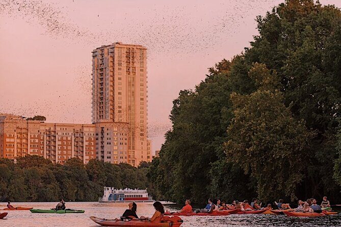 Guided Sunset Bat Kayak Tour in Austin - The Practicalities