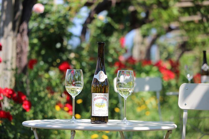 Guided tour of Bodegas Granbazán - Who Will Love This Tour?