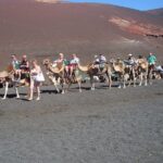Guided tour: Timanfaya National Park and La Geria with pick-up - Discovering La Geria’s Unique Vineyard Landscape