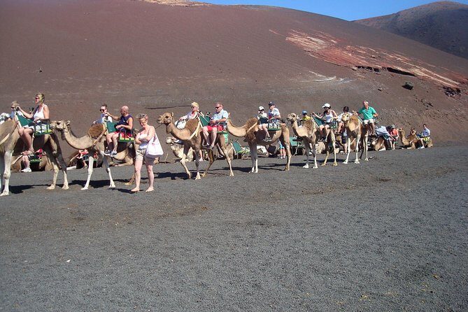 Guided tour: Timanfaya National Park and La Geria with pick-up - Discovering La Geria’s Unique Vineyard Landscape