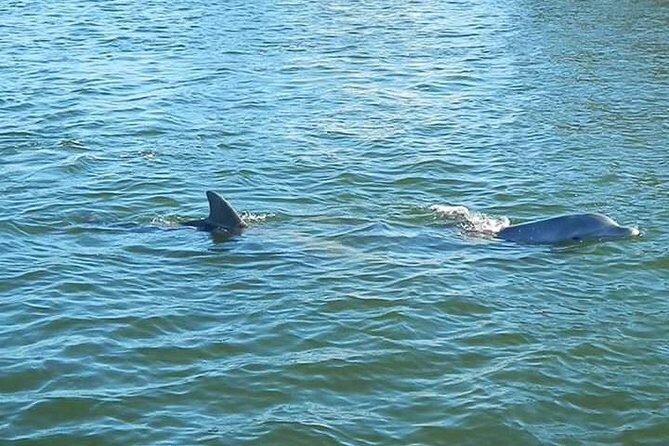 Guided Two Hour Boat Tour of the Indian River Lagoon - The Voyage through the Banana River