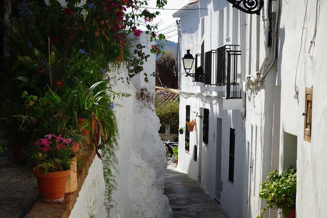 Guided Walking Tour of the Old Town of Frigiliana - What Travelers Love About This Tour