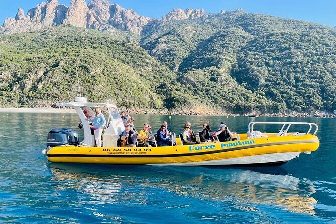 Half Day Boat Trip to Scandola Calanche de Piana - Who Is This Tour Best For?