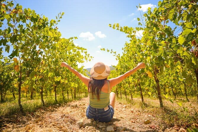 Half day Chianti Vineyard Escape from Florence with Wine Tastings - What Makes This Tour Stand Out?