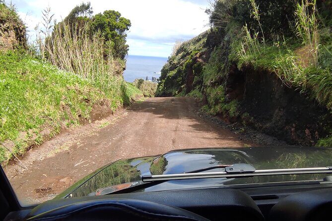 Half Day Off Road Tour in Azores - The Sum Up