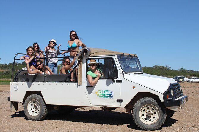Half Day Safari Tour with Wine Tasting - The Itinerary: What to Expect from Start to Finish