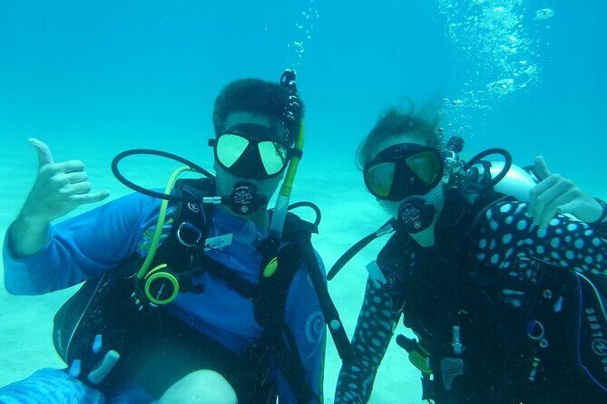 Half Day Scuba Diving Trip in the Florida Keys - The Reef Stops: Molasses, French, or Elbow Reef
