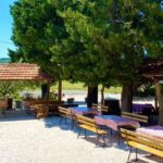Half-Day Wine and Food Tasting from Dubrovnik - A Closer Look at the Experience