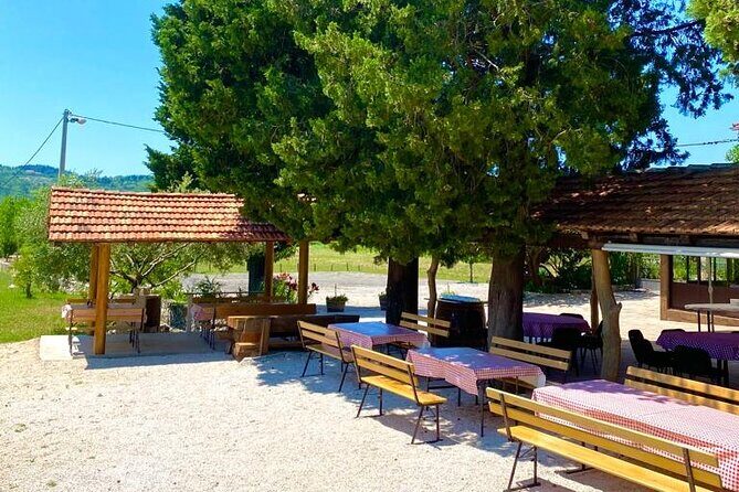 Half-Day Wine and Food Tasting from Dubrovnik - A Closer Look at the Experience