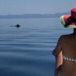 Halkidiki: Vourvourou Full Day Cruise - Who Should Book This Tour?