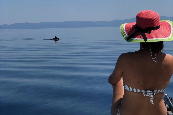 Halkidiki: Vourvourou Full Day Cruise - Who Should Book This Tour?