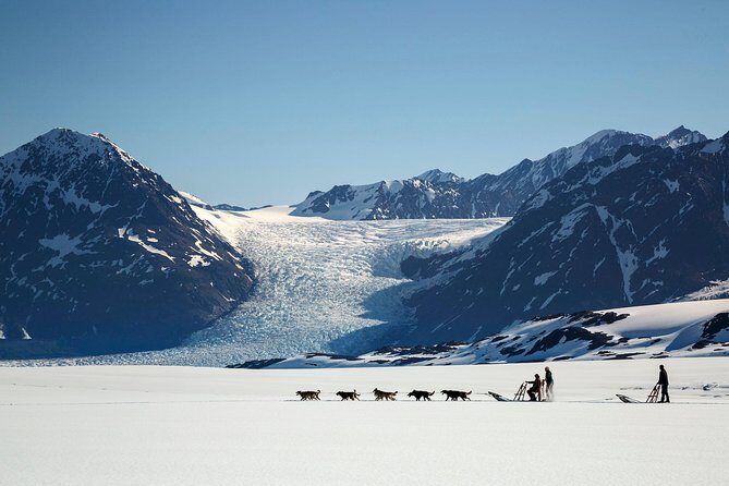 Helicopter Glacier Dogsled Tour + Lower Glacier Landing - ANCHORAGE AREA - What to Expect from the Itinerary