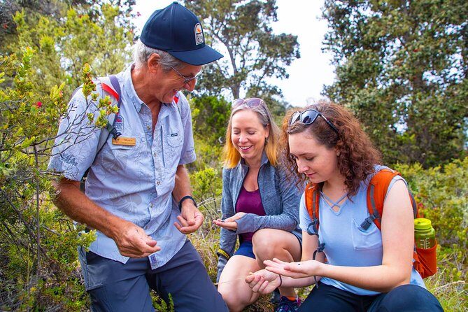 Hidden Craters Hike of Kona - The Guided Experience and What It Means for You