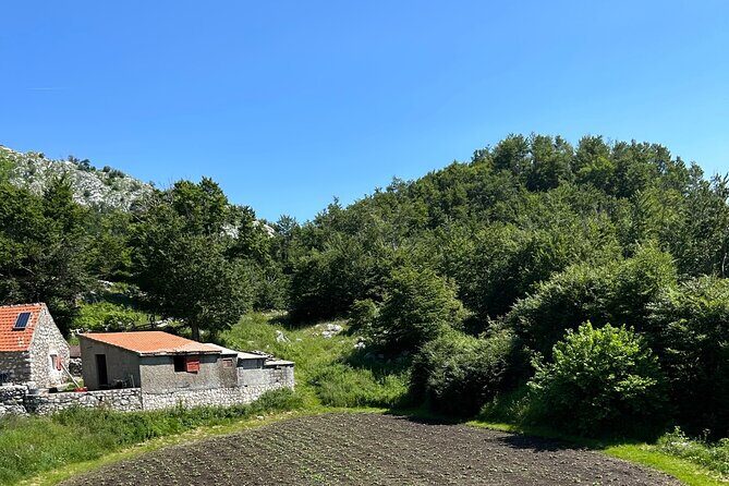 Hidden Montenegro by E-Bike, via The Kotor Cable Car to 1300M - What Travelers Love About This Tour
