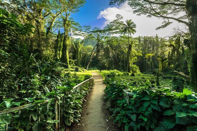 Hike Trail to Waterfall & Nature Walk - Additional Highlights