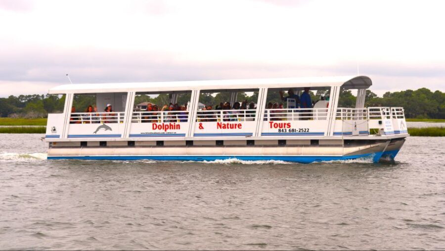 Hilton Head Island: 90-Minute Dolphin & Nature Tour