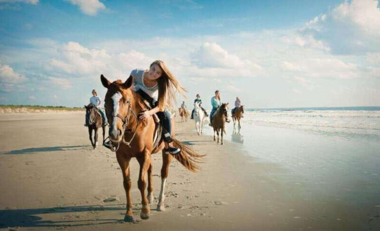 Holbox: Guided Horseback Ride on the Beach - The Value of the Experience