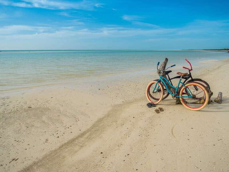 Holbox Island Discovery Tour with Transfer - Pricing and Value: Is It Worth It?
