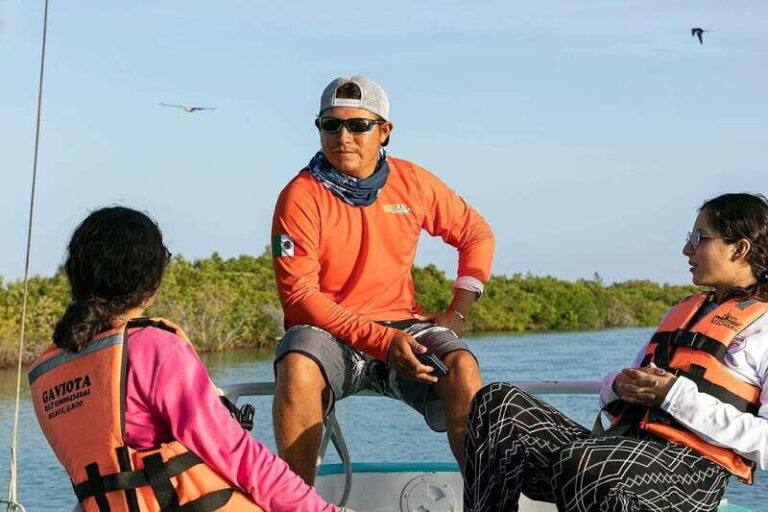 Holbox: Swimming with Wild Whale Sharks Boat Trip - Why This Tour Works for Travelers