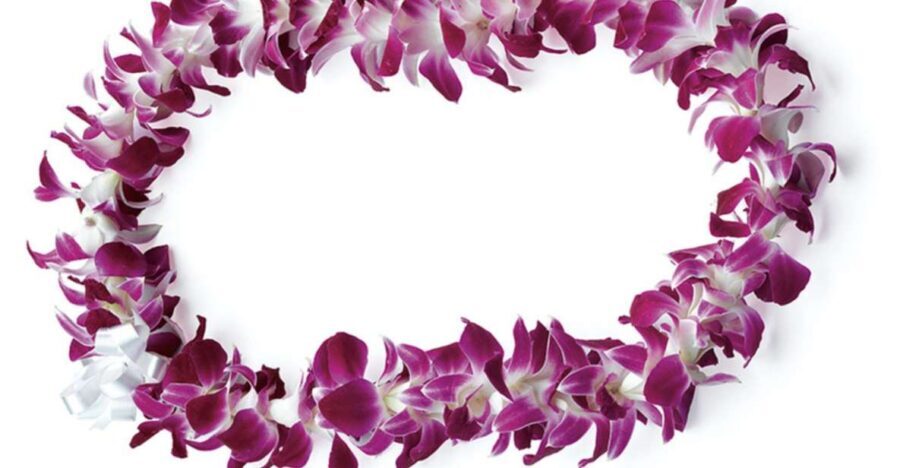 Honolulu: Private Airport Transfer with Arrival Lei Greeting