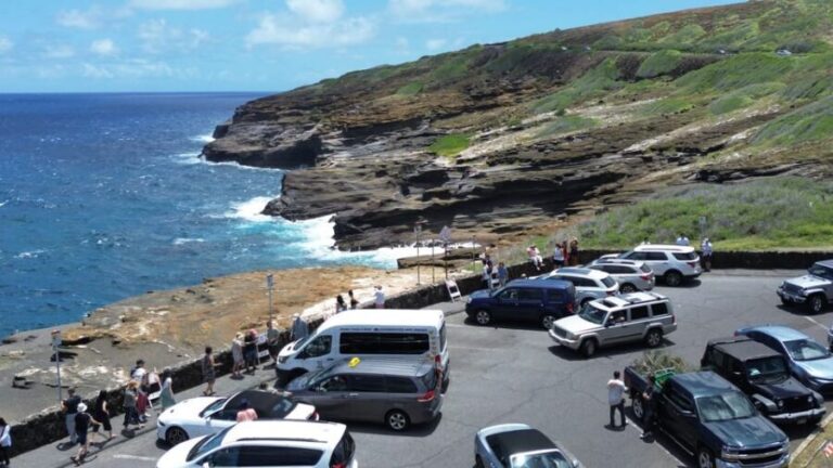 Honolulu: Stunning Views of Oahu! Half-day Scenic Tour - Why the Tour Works Well for Travelers