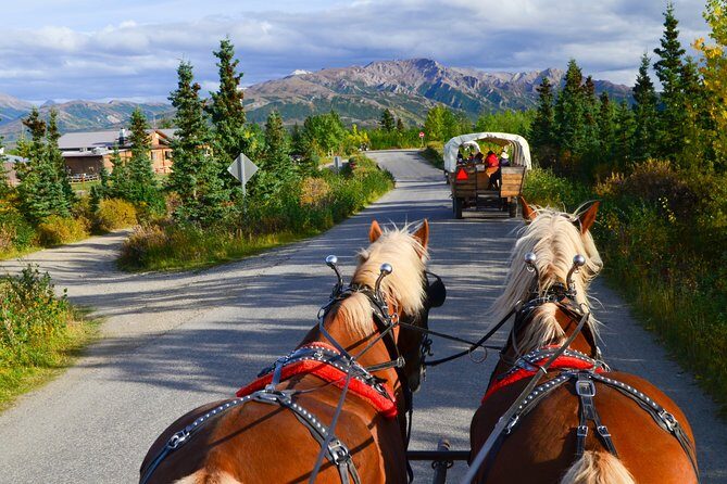 Horse-Drawn Covered Wagon Ride with Backcountry Dining - Practical Details & Tips for Your Tour
