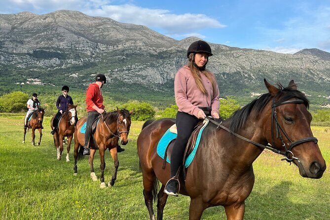 Horseback Riding Experience with transport from Dubrovnik - What Travelers Are Saying (Honest Insights from Reviews)