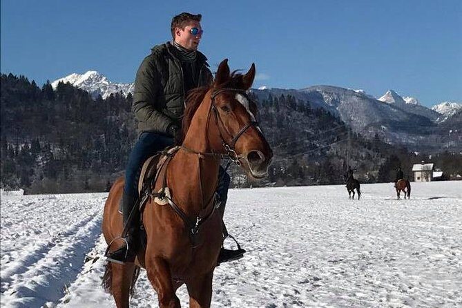 Horseback Riding In Bled - Scenic Highlights – Views That Make You Want to Snap Photos