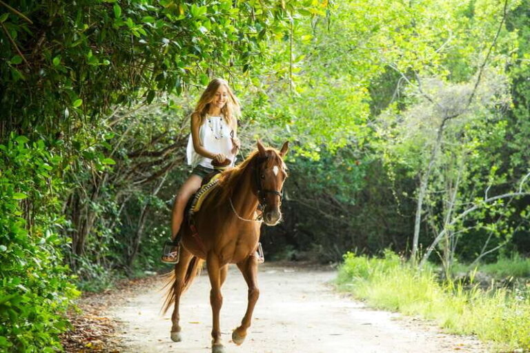 Horseback Riding in the Tropical Jungle - Is It Worth the Price?