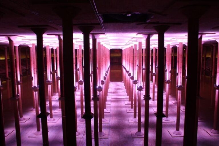 Houston: Buffalo Bayou Park Cistern History Tour - Authentic Reviews: What Visitors Say
