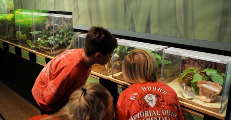 Houston Museum of Natural Science: Cockrell Butterfly Center - A Closer Look at the Experience