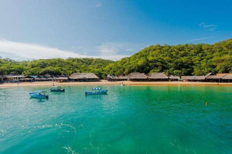 Huatulco: 5-Bay Exclusive Premium Panga Experience - Itinerary Breakdown: What You Can Expect