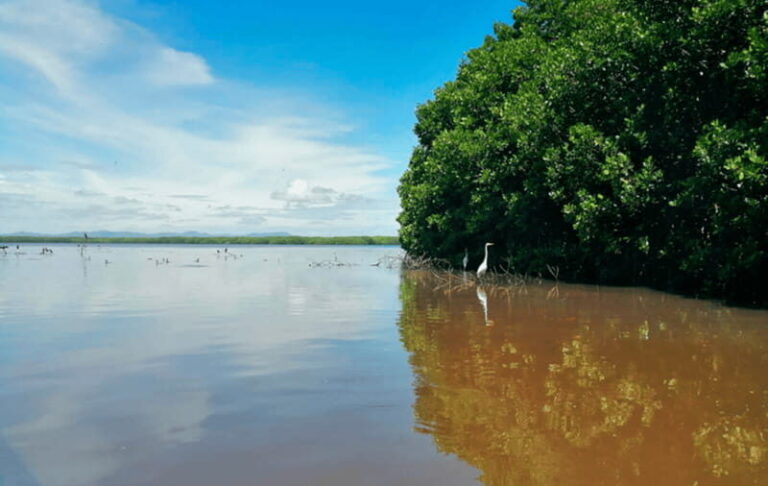 Huatulco: Laguna de Chacahua Exploration - Getting There and Setting Off