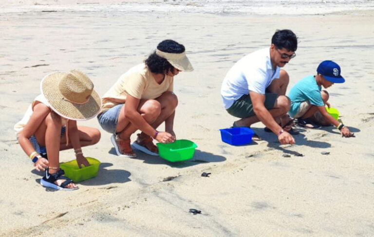 Huatulco:Turtle release,horseback riding and bioluminescence - Practical Details and What to Expect