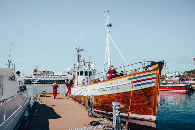 Húsavík Whale Watching Tour, family owned and operated - Authentic Encounters and Review Highlights