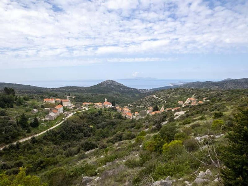 Hvar: Lavender Fields, Honey, and Local Product Tasting
