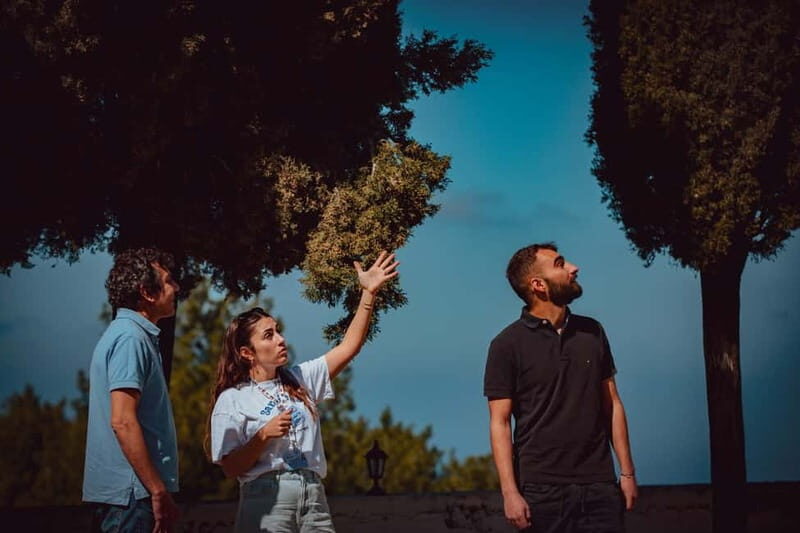 Ikaria, Alama Hiking trail, Surf Class & Lunch with Pick up - Who Will Love This Tour?