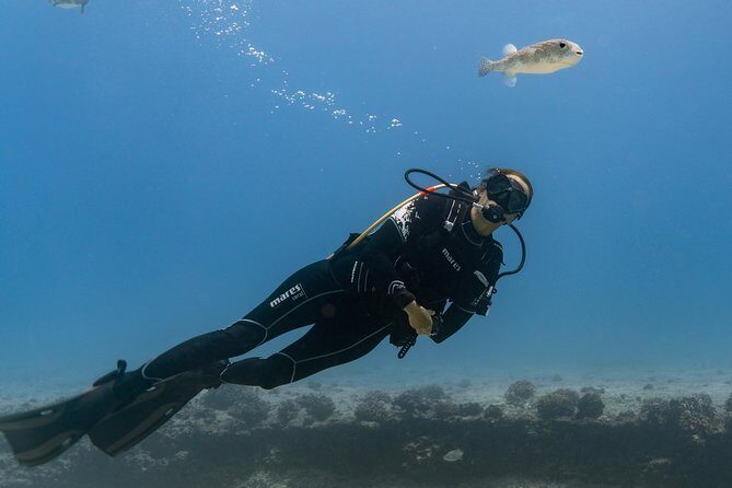 Incredibly Fun 2-Tank Coral Reef South Shore Boat Dive in Oahu from Waikiki - Why This Tour Is Worth It