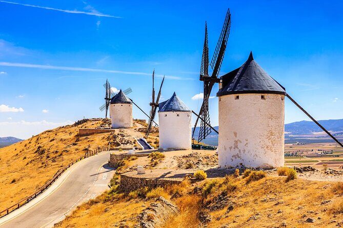 Influential Toledo & Bookish Consuegra, Full Day Tour from Madrid - Who Is This Tour Best Suited For?