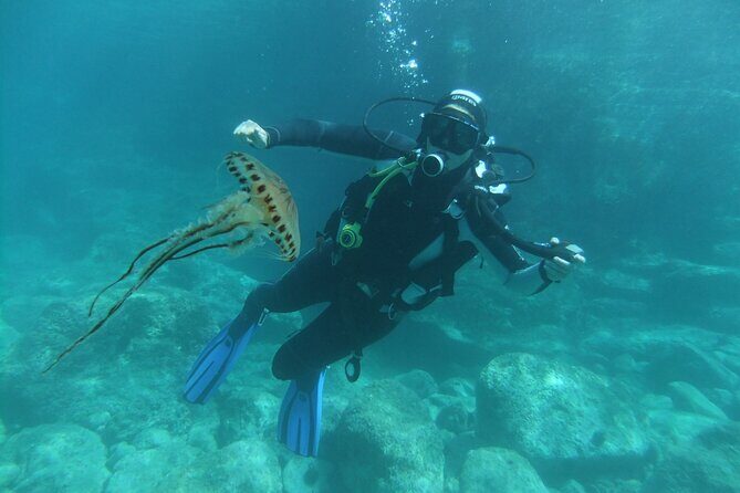 Intro Dive in Dubrovnik - The Marine Environment