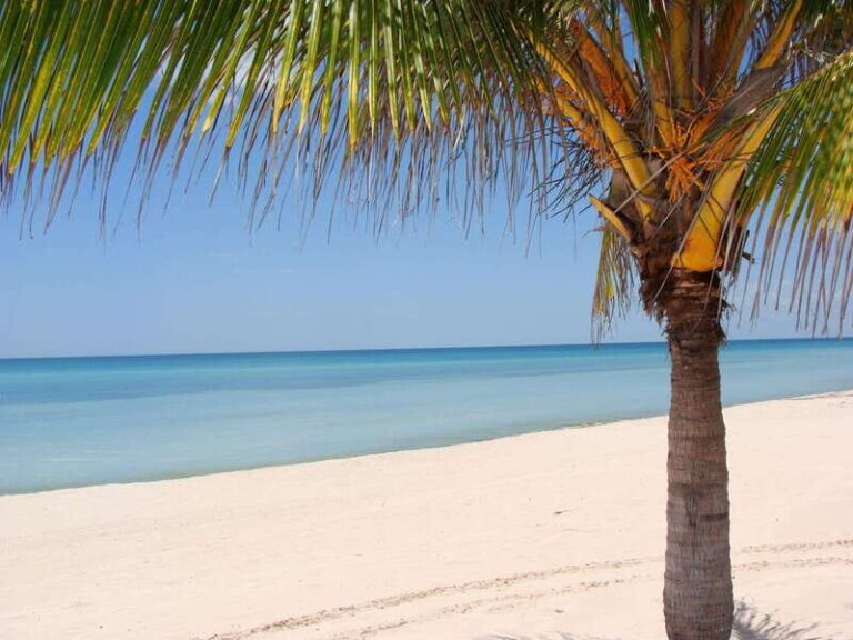 Isla Aguada: Flight of the Bird and the Smile of the Dolphin - What’s Included and What’s Not