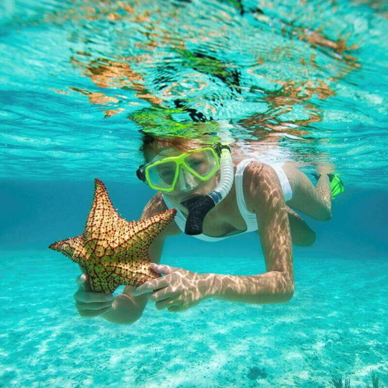 Isla Contoy Paraiso Natural - What Makes This Tour Stand Out
