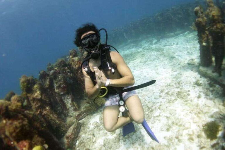 Isla Mujeres: 2-Tank Dive for Certified Divers - What to Expect From This Isla Mujeres Dive Experience
