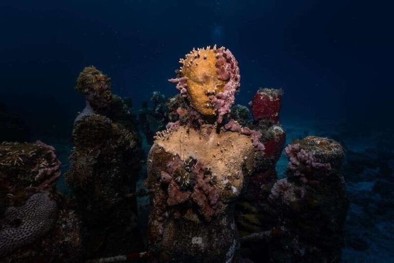 Isla Mujeres: MUSA and the Manchones Reef: 2 Tank Dive Tour - What’s Included and What to Budget For
