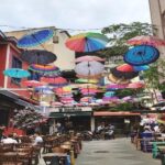 Istanbul Walking Food Tour With Secret Food Tours - Practical Tips for the Tour