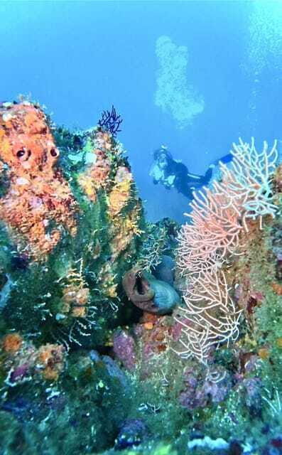 Ixtapa: Scuba Diver Course - Who Should Consider This Experience?